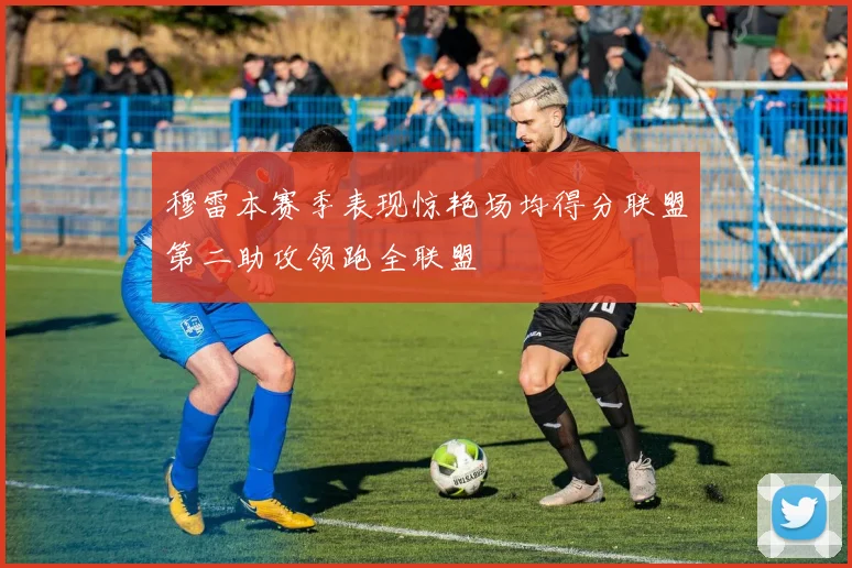穆雷本赛季表现惊艳场均得分联盟第二助攻领跑全联盟